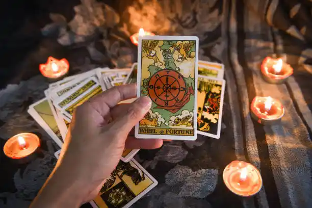 tarot cards Clearwater